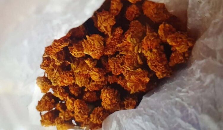 ZARZUTY POSIADANIA ZNACZNEJ ILOŚCI NARKOTYKÓW