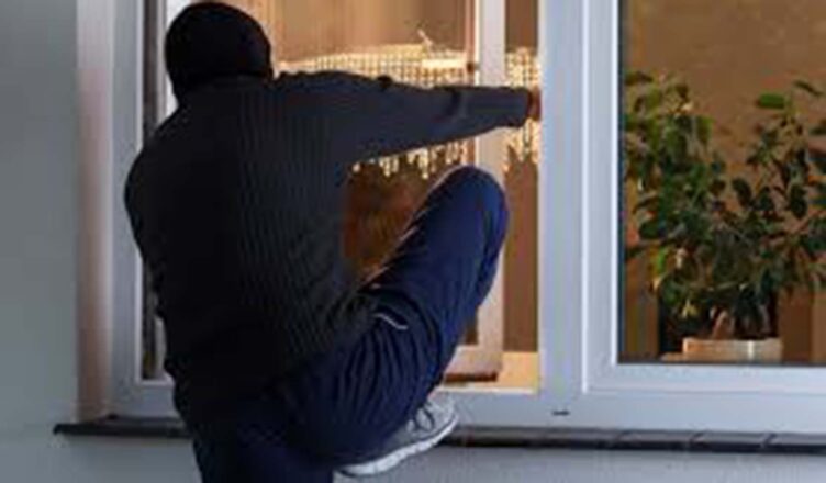 Jednego dnia wkradł się do domu, z którego zabrał wino i ogórki, a następnego wszedł do garażu, gdzie został zamknięty przez właściciela