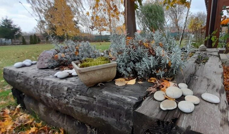 Wołomin - Wyniki konkursu „Ogród przyjazny klimatowi”