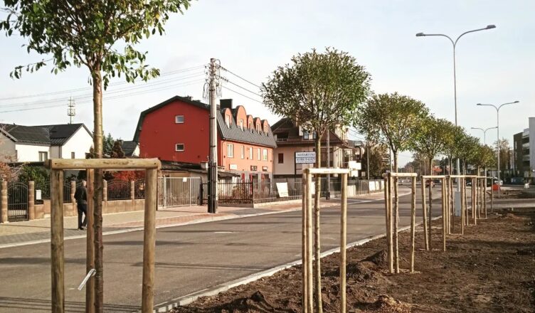 Ząbki - przybywa zieleni przy DW634 ul. Skorupki w Ząbkach