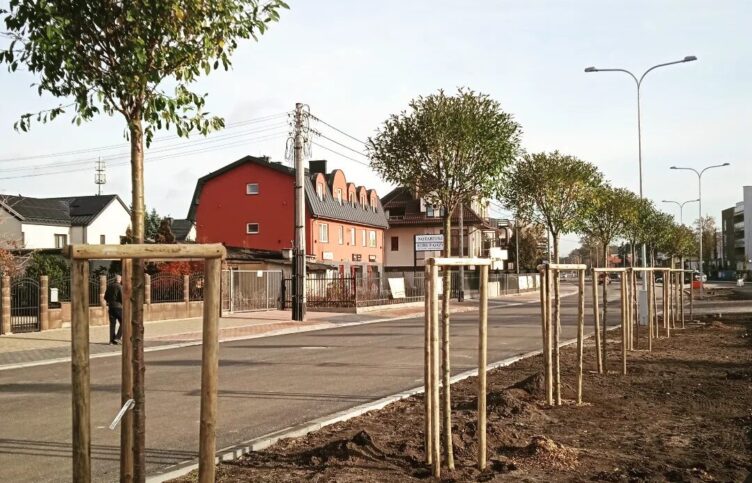 Ząbki - przybywa zieleni przy DW634 ul. Skorupki w Ząbkach