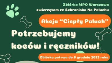 MPO Warszawa organizuje zbiórkę dla podopiecznych Schroniska Na Paluchu