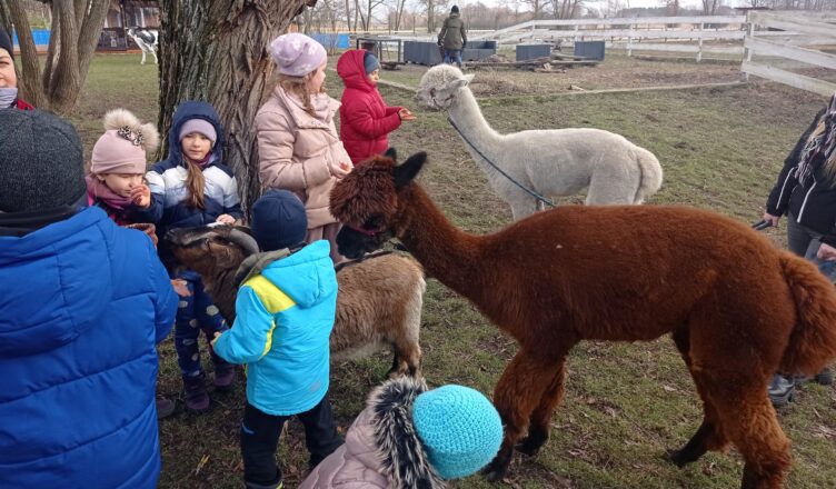 Zielonka - zima w mieście - miasto dofinansuje półkolonie
