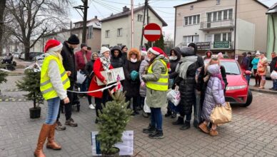 Podsumowanie akcji Choinka za elektroodpady