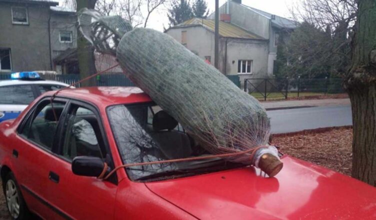 Policja apeluje o rozsądek