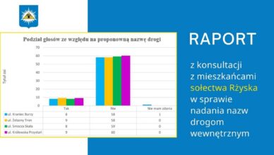 Raport z konsultacji z mieszkańcami sołectwa Rżyska w sprawie nadania nazw drogom