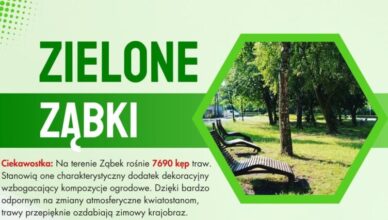 Plan prac związanych z zielenią miejską w Ząbkach