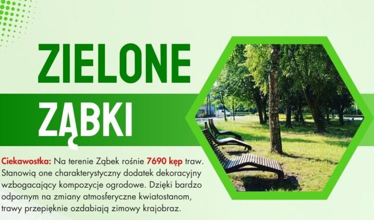 Plan prac związanych z zielenią miejską w Ząbkach