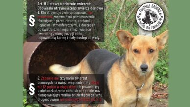 Marki - zwierzęta to nie zabawki - opiekuj się mądrze