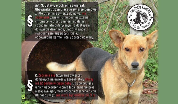 Marki - zwierzęta to nie zabawki - opiekuj się mądrze