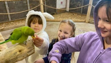 Zielonka - ferie w mieście z atrakcjami