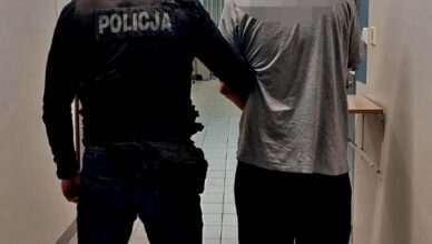 Ponad 20 tysięcy porcji handlowych amfetaminy