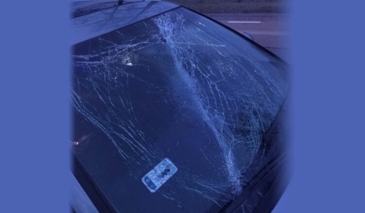 Zaniedbanie kierującego mogło doprowadzić do tragedii