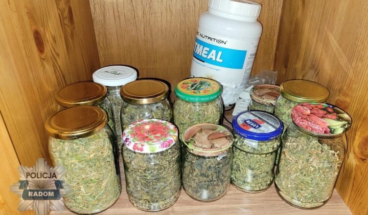 2.5 kg narkotyków zabezpieczone przez radomskich policjantów