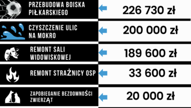 Zielonka - ponad 600 000 zł na 5 zadań