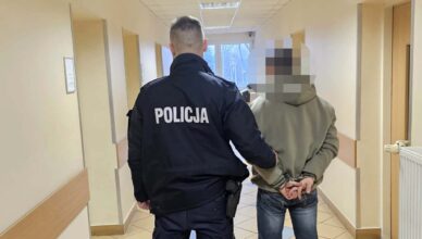 Ukradł przesyłki, które miał dostarczać