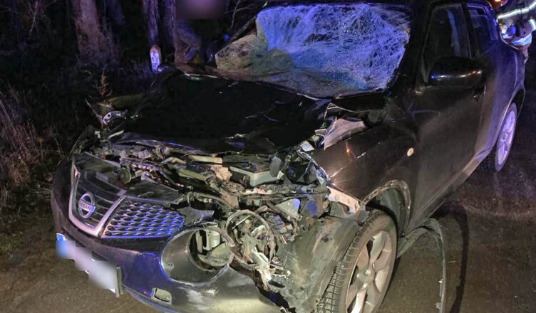 Zdarzenie drogowe z udziałem łosia