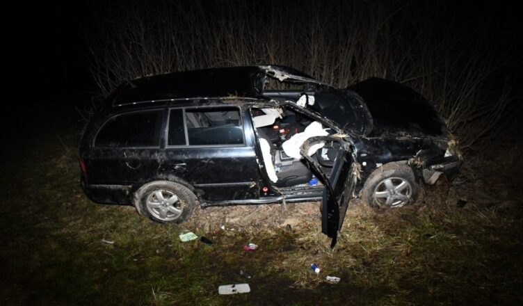 Groźne zderzenie z łosiem na DK2