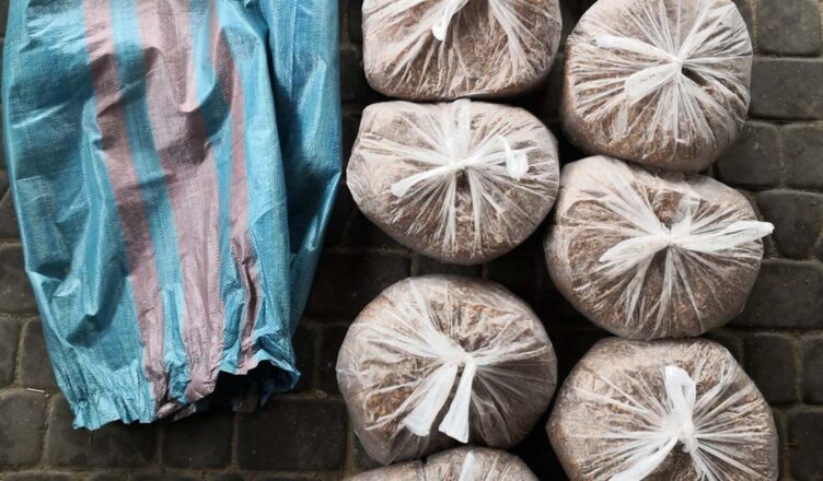 Amfetaminę ukryła w odkurzaczu, a jej krewny krajankę tytoniową w altance