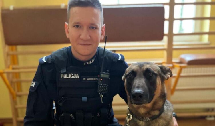 Psi nos doprowadził do sprawcy kradzieży