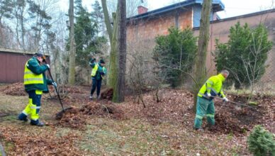 Zielonka - wiosenne porządki w parku, na skwerach i zieleńcach