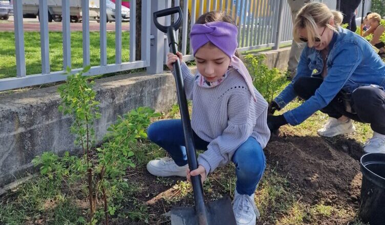 Marki - przy Grunwaldzkiej zasadzono 110 rożnych roślin