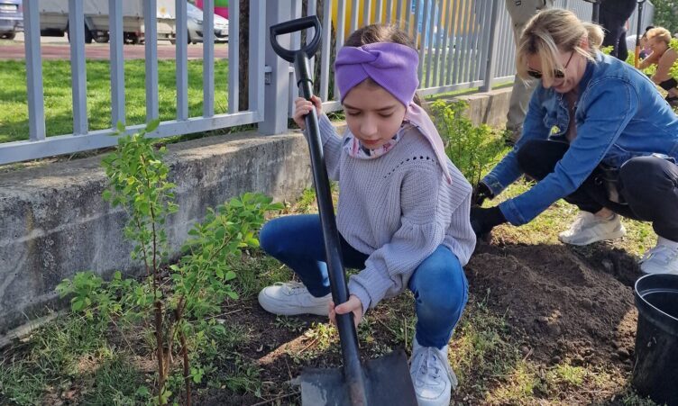 Marki - przy Grunwaldzkiej zasadzono 110 rożnych roślin