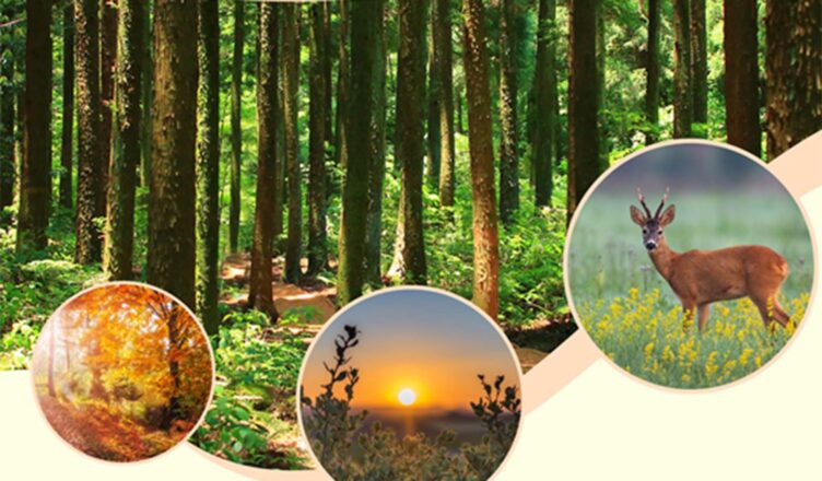 Powiatowy konkurs fotograficzny "Przyroda Powiatu Wołomińskiego w obiektywie"