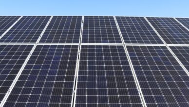 Wołomin - Farma fotowoltaiczna w Wołominie