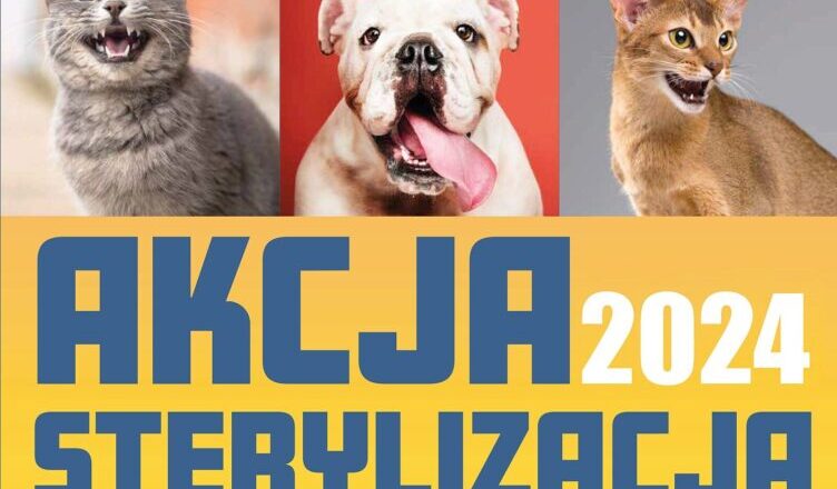 Marki - Akcja sterylizacja 2024