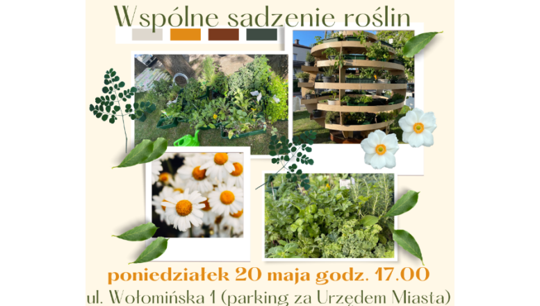 Kobyłka - coroczne sadzenie roślin w kuli pod urzędem