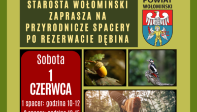 Spacer po Rezerwacie Dębina