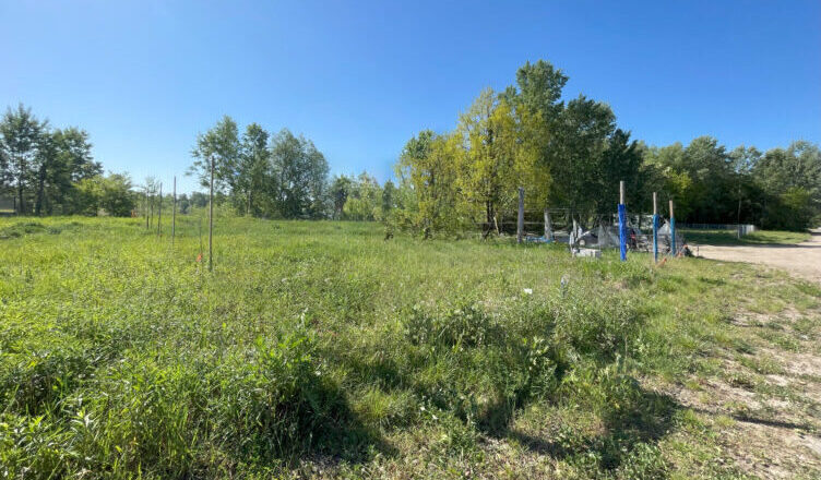Zielonka - konkurs na najem działki rekreacyjnej