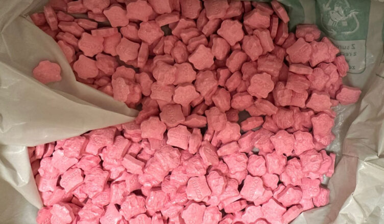 15 kg narkotyków w walizkach i lodówce