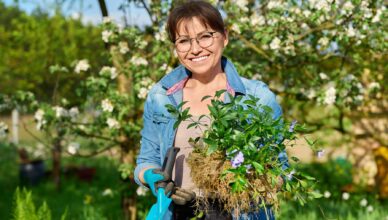 ROD-y zmieniają się dzięki wsparciu Mazowsza