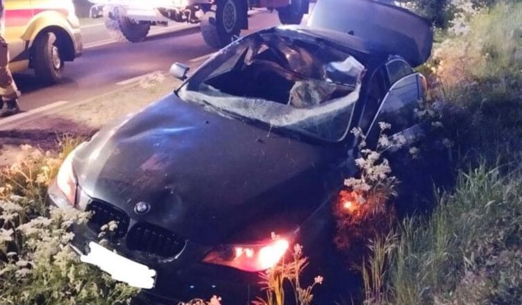 Zbyt bliskie spotkanie z łosiem