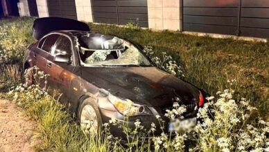 Zderzenie BMW z łosiem