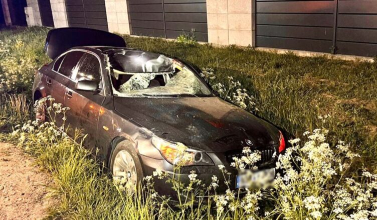 Zderzenie BMW z łosiem