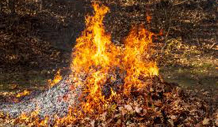 Chciała spalić suche liście a podpaliła altankę i samochód