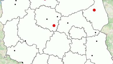 Policyjna mapa wypadków drogowych ze skutkiem śmiertelnym – Wakacje 2024