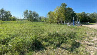 Zielonka - działka na Gliniankach na wynajem