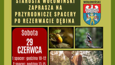 Spacer po Dębinie