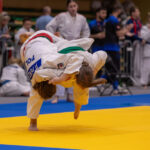 SameJudo Cup 8