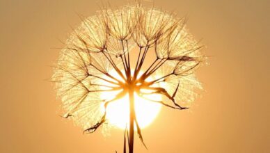 Następne dni upłyną pod znakiem upałów