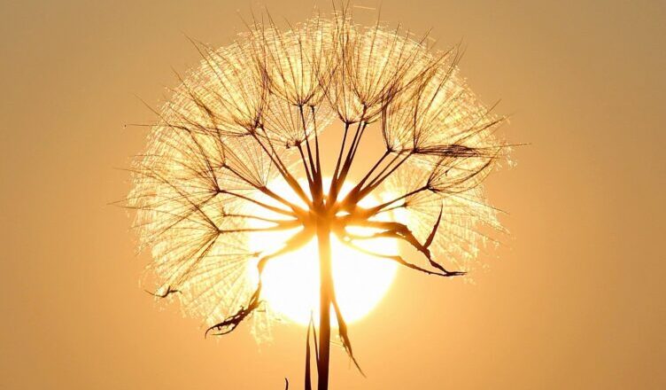 Następne dni upłyną pod znakiem upałów