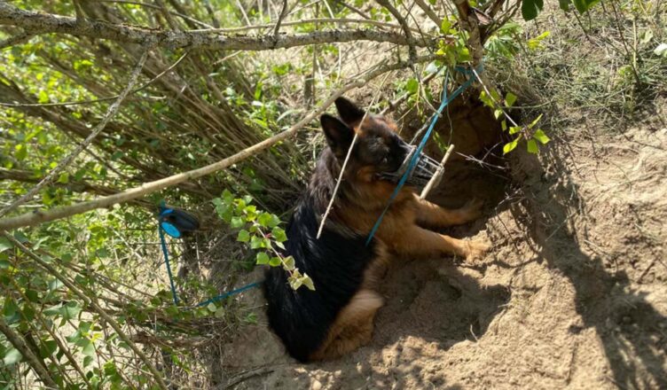Szczęśliwy finał dramatycznej historii