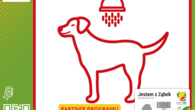 Ząbki - dlaczego warto kąpać psa - podpowiada Wash Dog Express