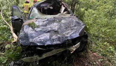 Zderzenie z łosiem na DW 631