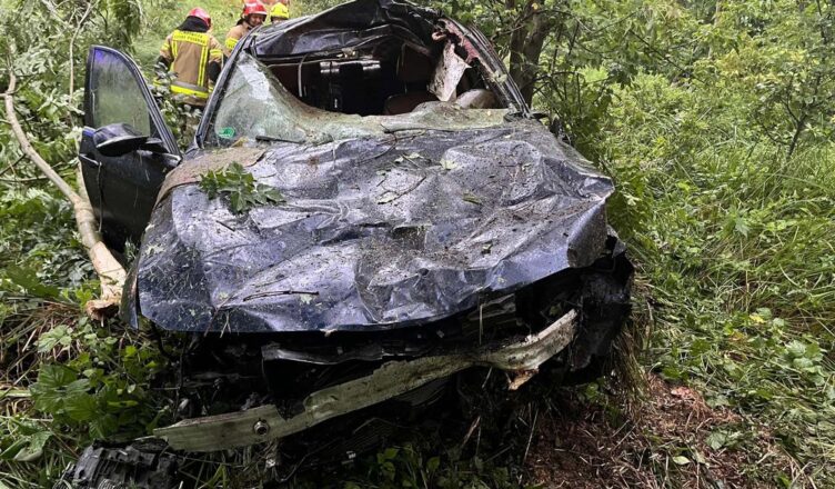 Zderzenie z łosiem na DW 631