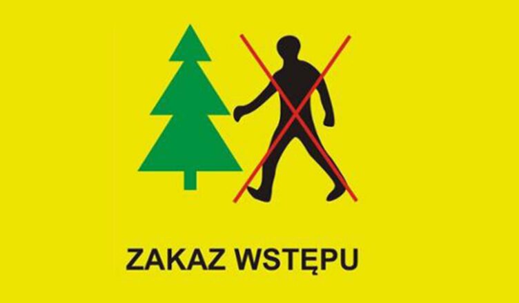 Okresowy zakaz wstępu do lasu